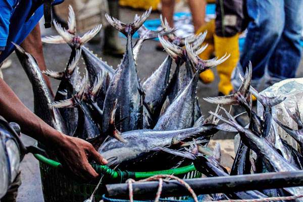 Pastinya memiliki penghasilan laut yang melimpah.