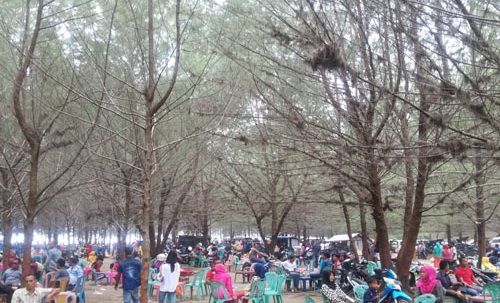 Sehingga pantai tersebut banyak dikunjungi oleh wisatawan.